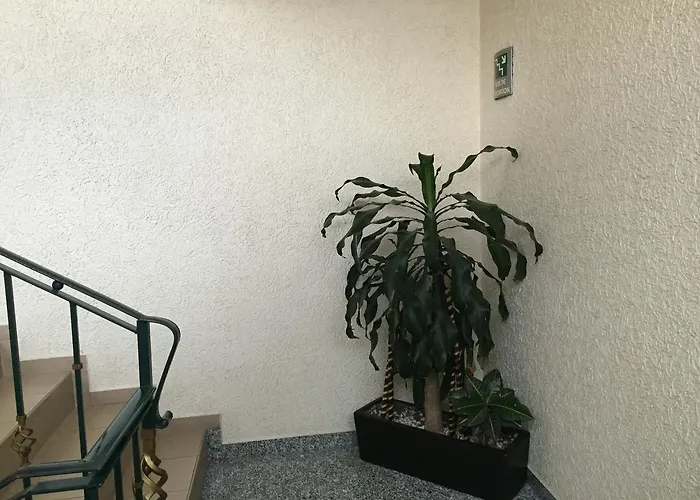 La Luna Hotel 3*